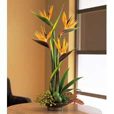 Birds of Paradise Arrangement